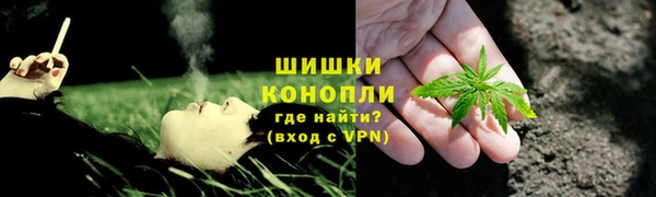 мяу мяу кристалл Корсаков