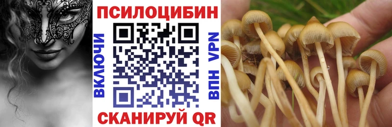 цены наркотик  Брюховецкая  shop телеграм  Псилоцибиновые грибы Magic Shrooms 